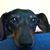 Cher Meyer's profile image