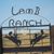 Stevi Lamb-Rehberg's profile image