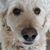 Dawn Allison's profile image