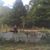 Mohamed Samy Belmouloud's profile image