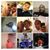 Danyle Danni Lawrence's profile image