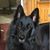 Marianne Murray Summers's profile image