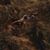 Ken Mathis's profile image