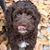 Bob Rhoads's profile image