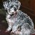Gail Garland's profile image