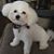 Joann Zollo's profile image