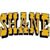 Shane Meredith's profile image