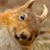 Becke Lord's profile image