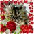 Liz Arndt's profile image
