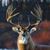John Hook's profile image