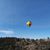 Gina Poliak's profile image