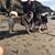 Suzanne Marie Robinson's profile image