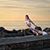 Sarah Stuve's profile image