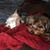 Cindy Sue Currie-Ascuena's profile image
