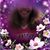 Amy Long's profile image