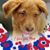 LynnDee X Gillam's profile image