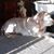 Mary Jo Smith's profile image