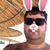 Jacopo Chiccolandia Leuci Rupcich's profile image