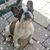 Eva Butterfield Wisuri's profile image