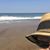 Susan Becker Fildew Summers's profile image