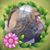 Dusty Stillwagoner's profile image