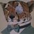 Yury Lomakin's profile image