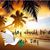Sue Stutler's profile image