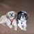 Deborah Bauer-Matson's profile image