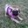 Elaine Santos's profile image