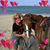 Robin Fox's profile image
