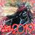 Donald Bossard's profile image