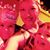 Sandra Meredith Furnish's profile image