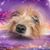 Mary Stacy Pummill's profile image
