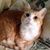 Deborah Overberg's profile image
