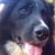 Diana Mckillop's profile image