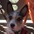 Shellie Frey's profile image
