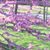 Julia Dixon Smith's profile image