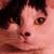 Joannette Odle's profile image