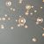 Amelia Lohk's profile image