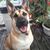 RoseMarie Scarpa's profile image