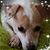 Jodie Hayes's profile image