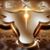 Tammy Gee's profile image