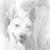 Greta Toman's profile image