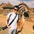 Jason Sanqui's profile image