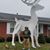 Devin Johnson's profile image