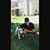 Luis Pache's profile image
