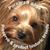 Laritza Maria Rodriguez's profile image