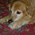Linda Harris's profile image