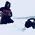 Andrew Shreiner's profile image