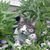 Rachel Phillips's profile image